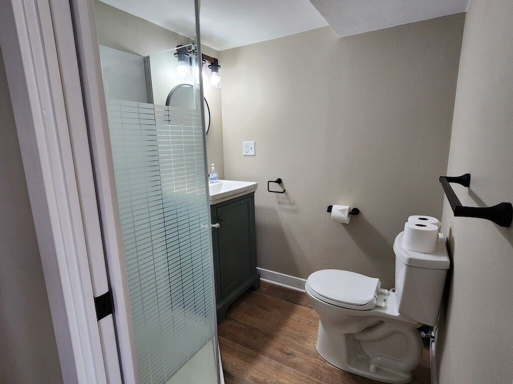 Hair dryer, soap, toilet paper