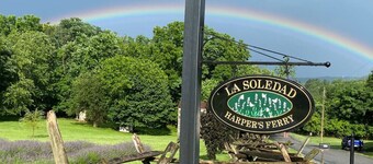 The Bears Den at La Soledad