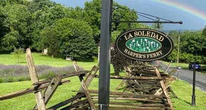 The Bears Den at La Soledad