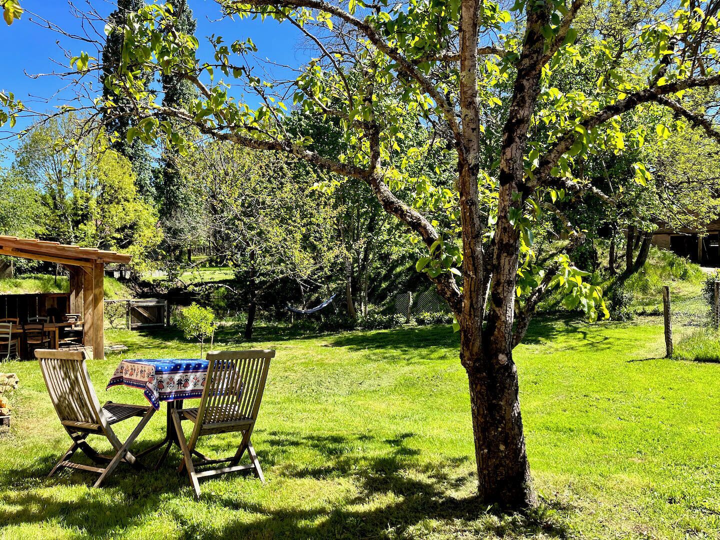 Un espacio al aire libre con césped, una mesa y sillas de madera, una hamaca y un edificio al fondo.