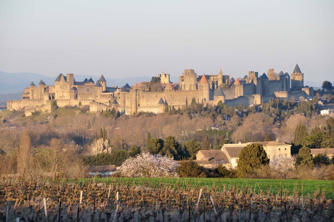 Photo - Hôtel Château de Cavanac