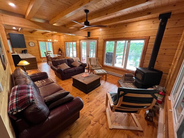 TV, fireplace, DVD player, books