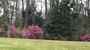 A grassy field with trees and pink flowering bushes. - Enjoyable 2-bedroom bungalow with AC close to charming "Beaufort by the Sea" . (Havelock)