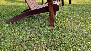 Two Adirondack chairs on a grassy lawn with a house in the background. - Enjoyable 2-bedroom bungalow with AC close to charming "Beaufort by the Sea" . (Havelock)