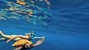 Iemand zwemt met een zeeschildpad.