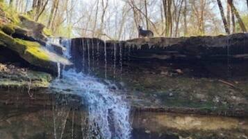 Shower, towels, toilet paper