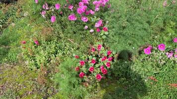 DĂ©tail de lâextĂ©rieur