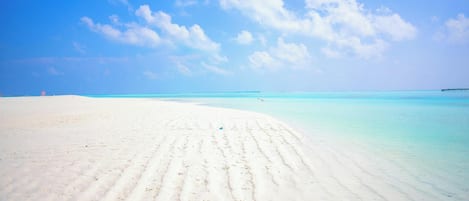 Sun loungers, beach towels