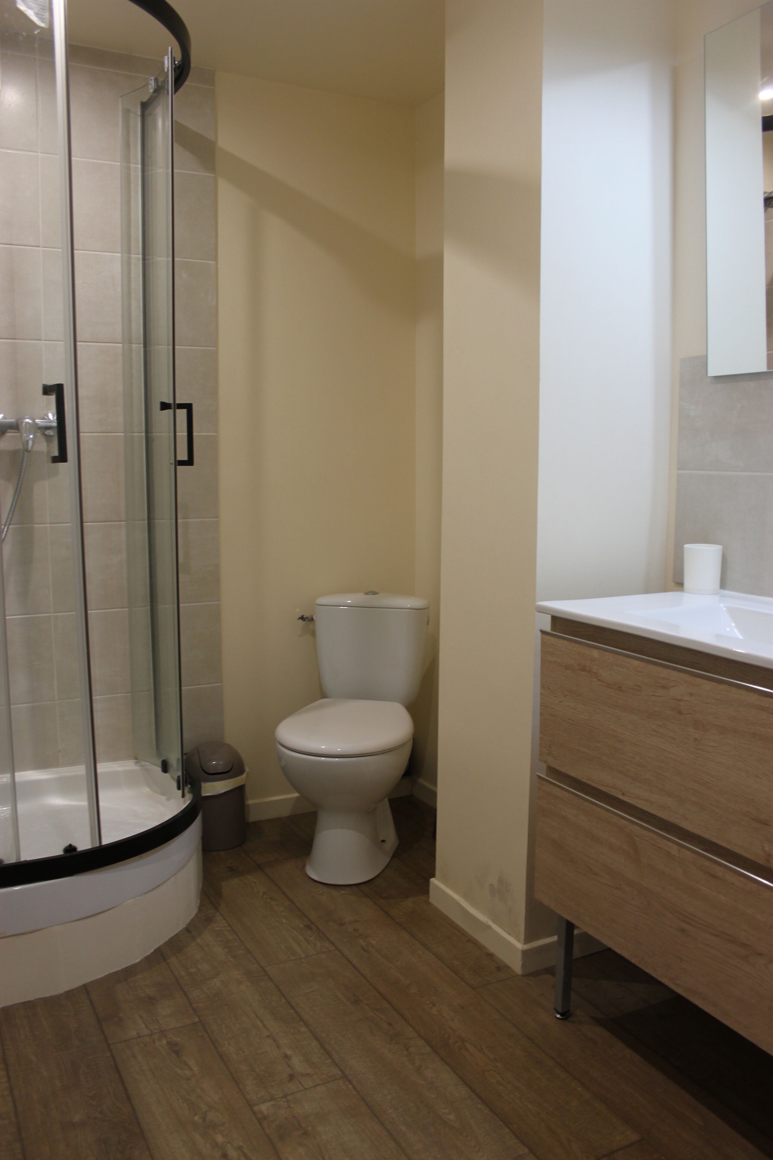 A bathroom with a glass-enclosed shower, a toilet, and a vanity with a mirror.