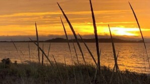 A sunset over a body of water with tall grasses in the foreground. - Beach Bliss (Boylston)