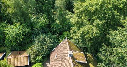 Beautiful modern holiday home with a sauna