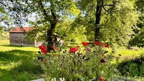 Ein Holztisch mit einem Blumentopf und roten Blüten.