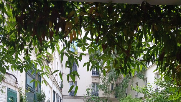 Une cour pavée de pierres, agrémentée de plantes en pot, de planches de bois et de bâtiments dotés de balcons.