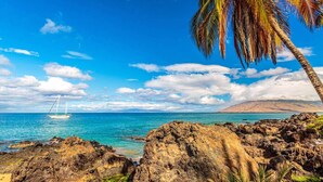 A rocky shoreline with a clear blue sea, a palm tree, and a sailboat in the distance.