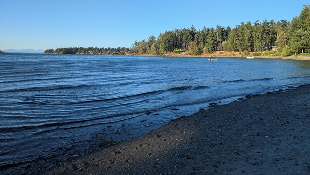 En strand med ett skogsområde och ett litet hus i bakgrunden.