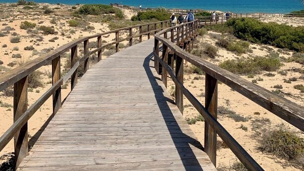 En träpromenad som leder till en strand med klar himmel.
