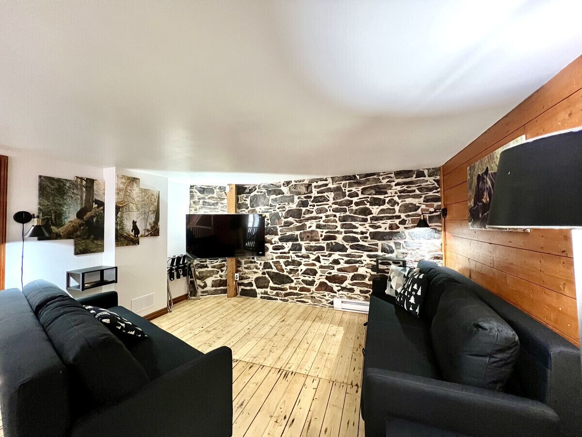 Televisio, videopelejä