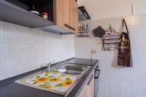 A kitchen with a stainless steel sink, a countertop with a mat, and a wall-mounted spice rack.
