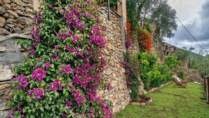 Een stenen muur met bougainvillea bloemen, een grasveld en een houten stoel.