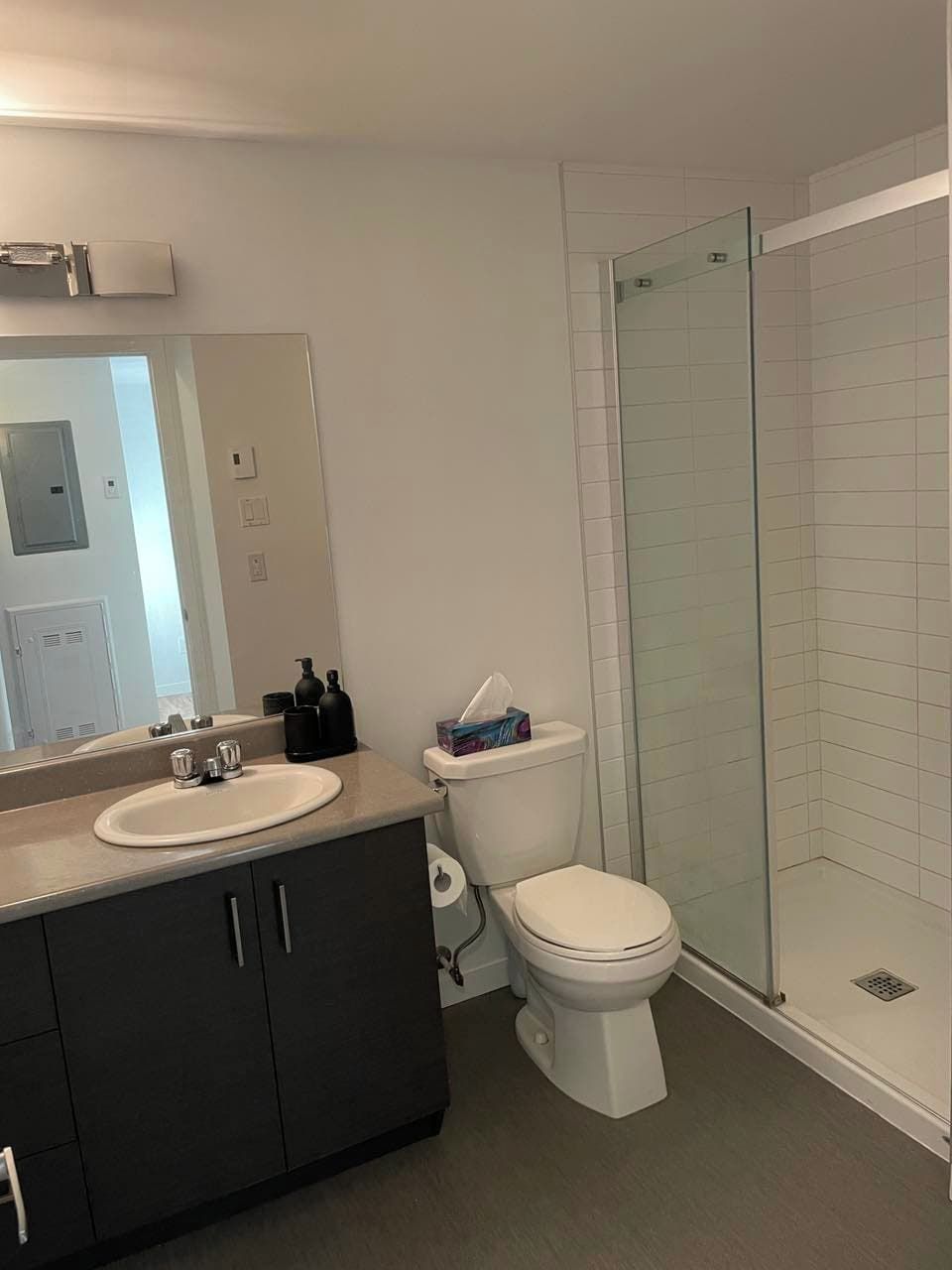 A bathroom with a glass-enclosed shower, a toilet, and a sink with a mirror above it.