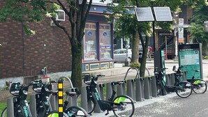 A street with a row of parked bicycles, a brick building, and a tree with white flowers. - A charming home in Old Limoilou. (Québec)