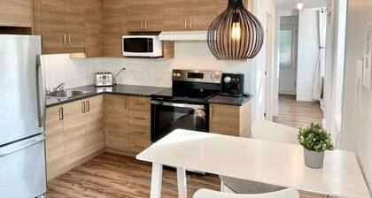 Lumineux appartement dans le Vieux Limoilou.