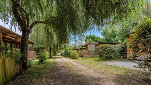 A pathway leading to a wooden cabin with a covered porch and a large tree overhead.