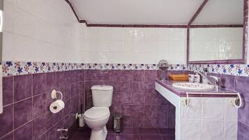 Un baño con inodoro, lavabo y espejo.