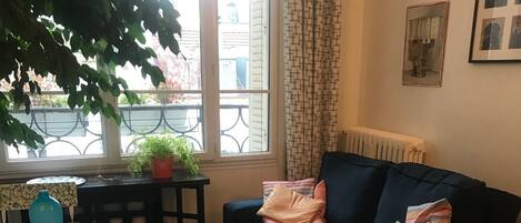 Télévision, cheminée, lecteur de DVD, livres