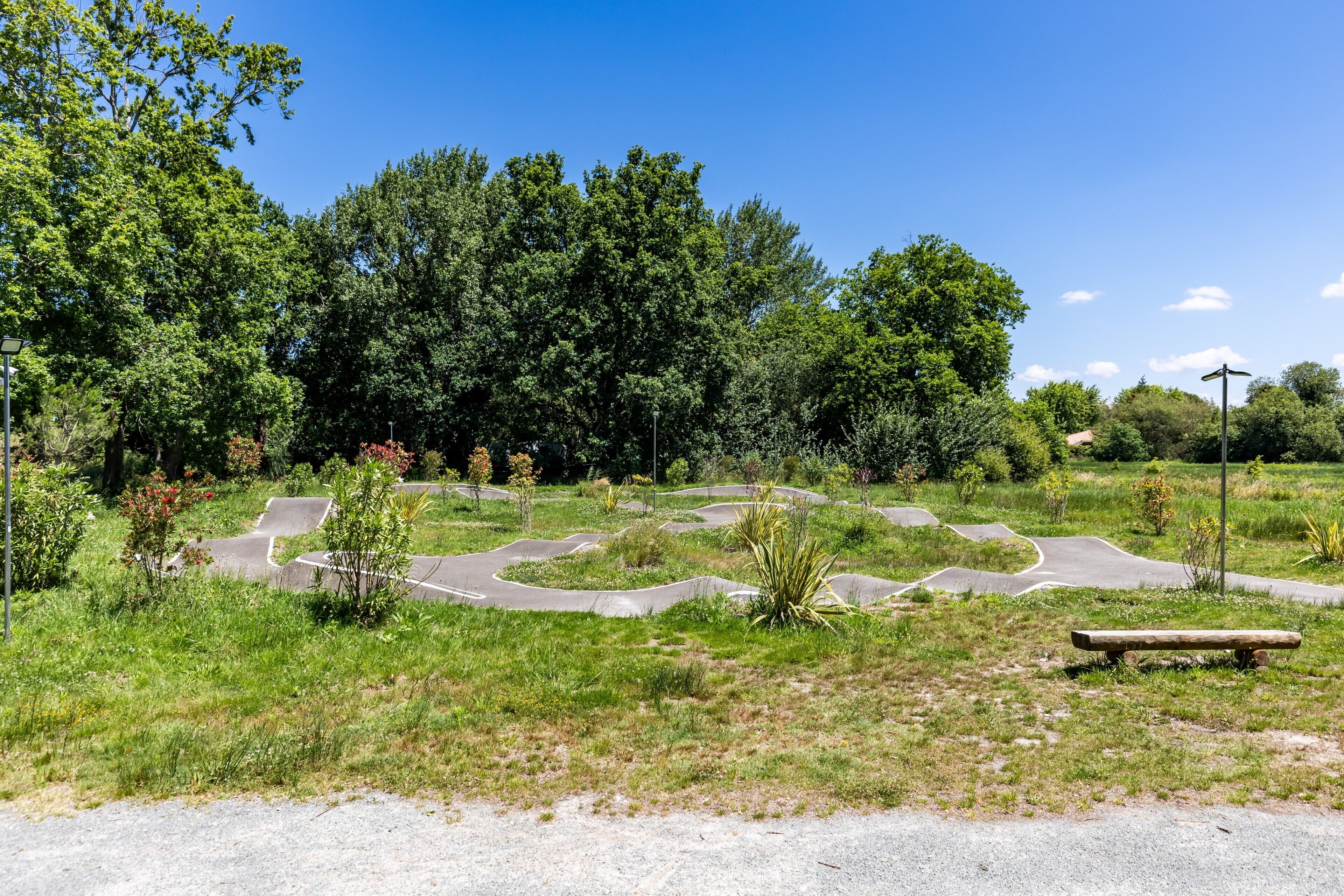 A park with winding paths, a bench, and lush greenery.