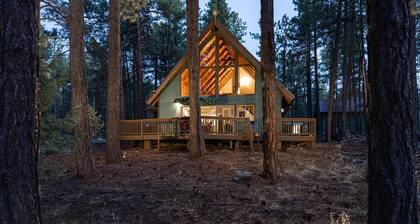 Snow Time Whimsical Forest Retreat for Family, Friends w/AC