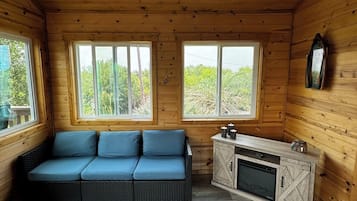 TV connectée, cheminée