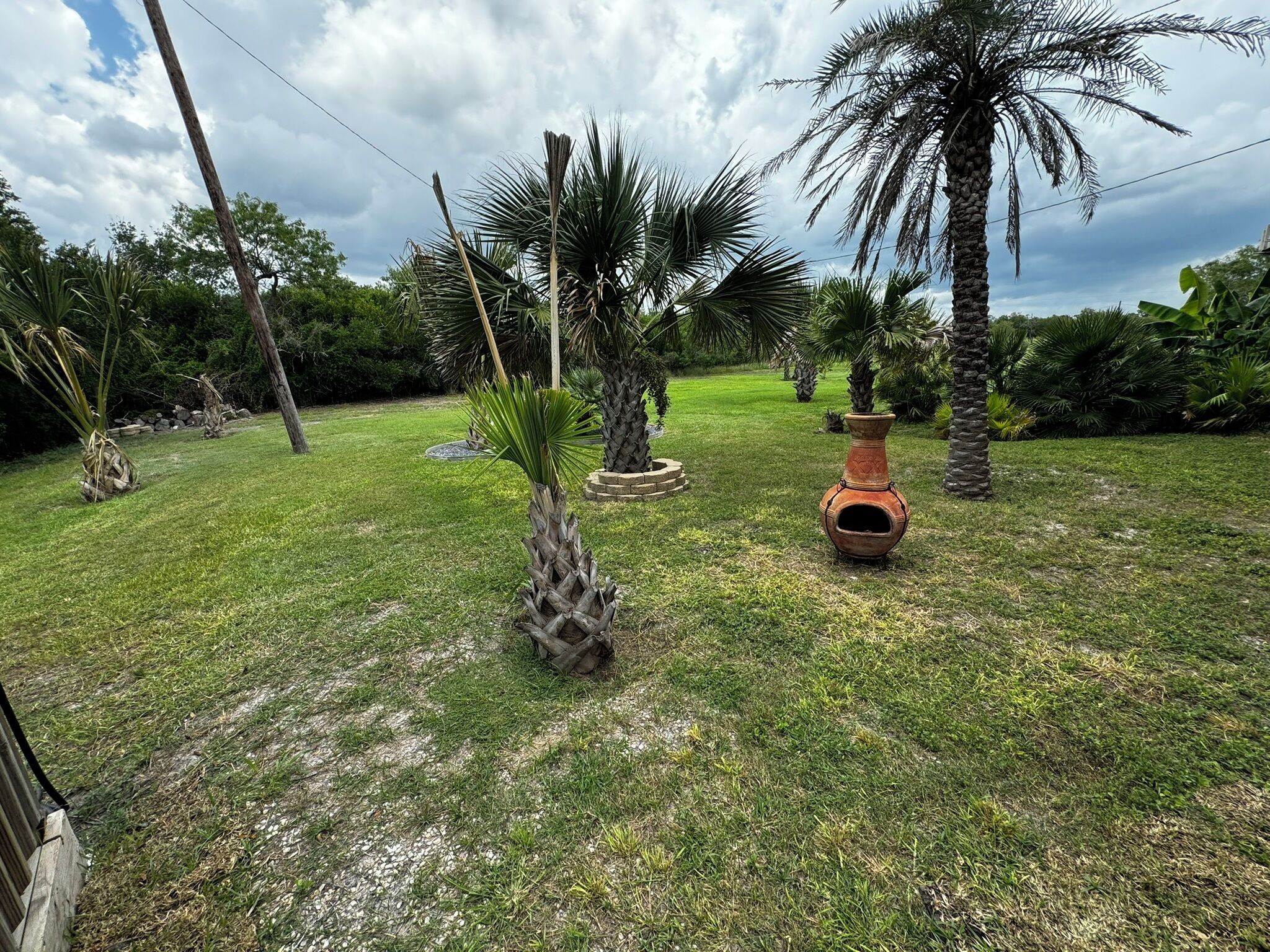 Ein Garten mit Palmen, einem Kiesweg und einem Terrakottatopf.