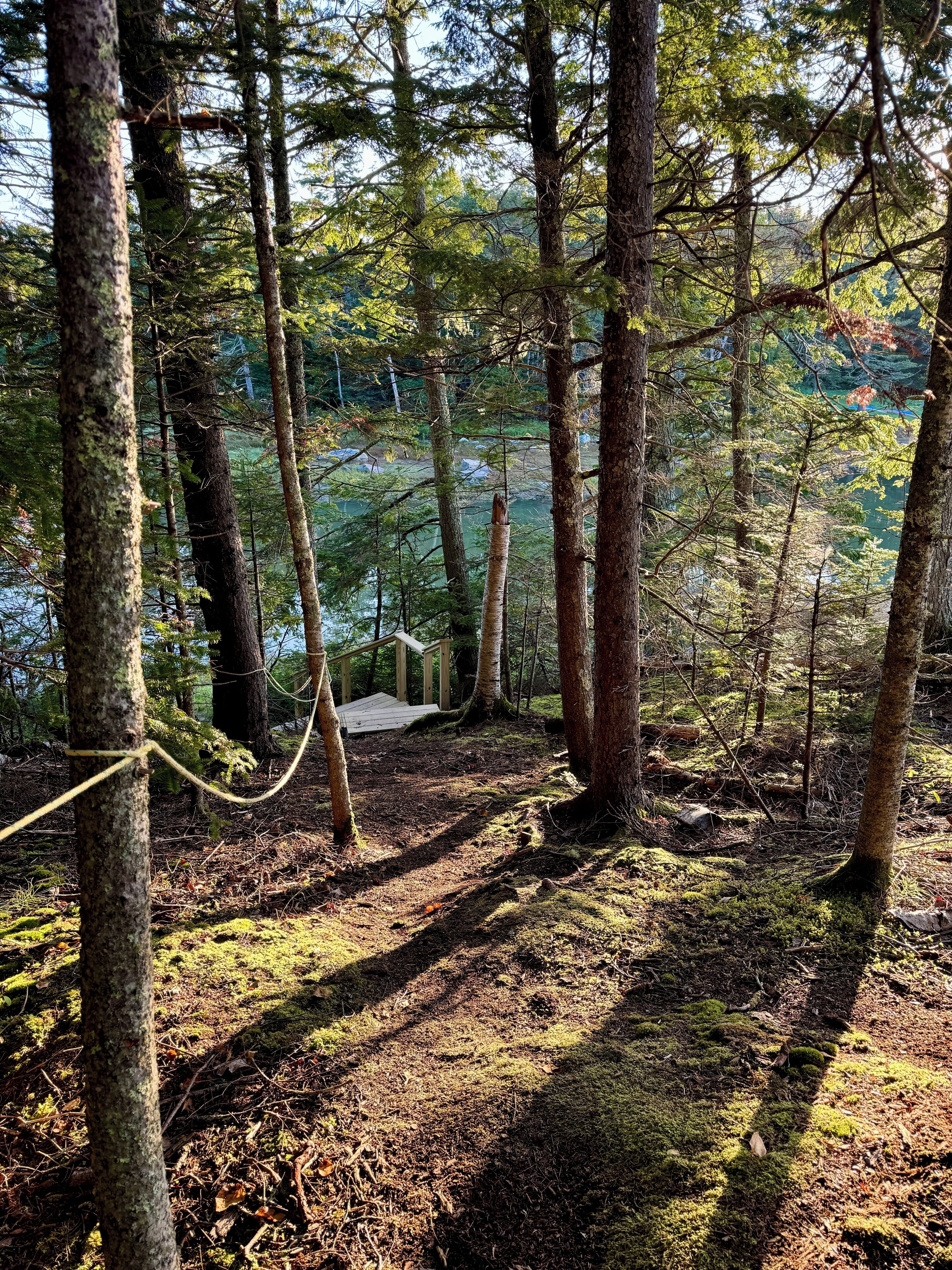 Overnattingsstedets uteområder