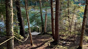 A forested area with a wooden bridge leading to a cabin. - Designer Oceanfront, Views of Acadia National Park, Near Bar Harbor (Trenton)