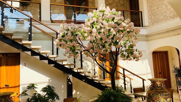 Un hall d’entrée spacieux avec un escalier, un grand vase et des plantes en pot.
