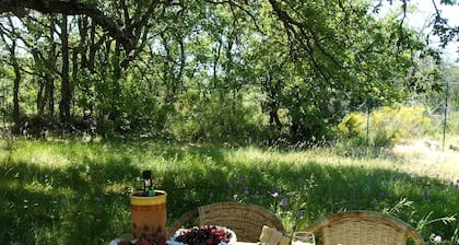 Promo!!Calme Absolu sur 15 Hectares Privés en Colline,Animaux Admis, Pisc.Chauff