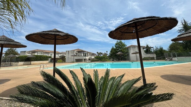 A swimming pool area with thatched umbrellas, palm trees, and residential buildings in the background.