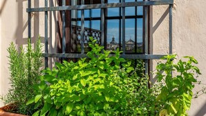 Exterior detail - iFlat | Campo de' Fiori Panoramic Penthouse (Roma)