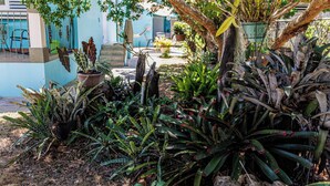 Ein Garten mit verschiedenen Pflanzen und einem blauen Gebäude im Hintergrund.