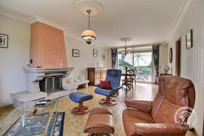 Televisión, chimenea, reproductor de DVD y libros 