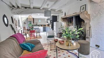 Télévision, cheminée, livres, espaces bureaux