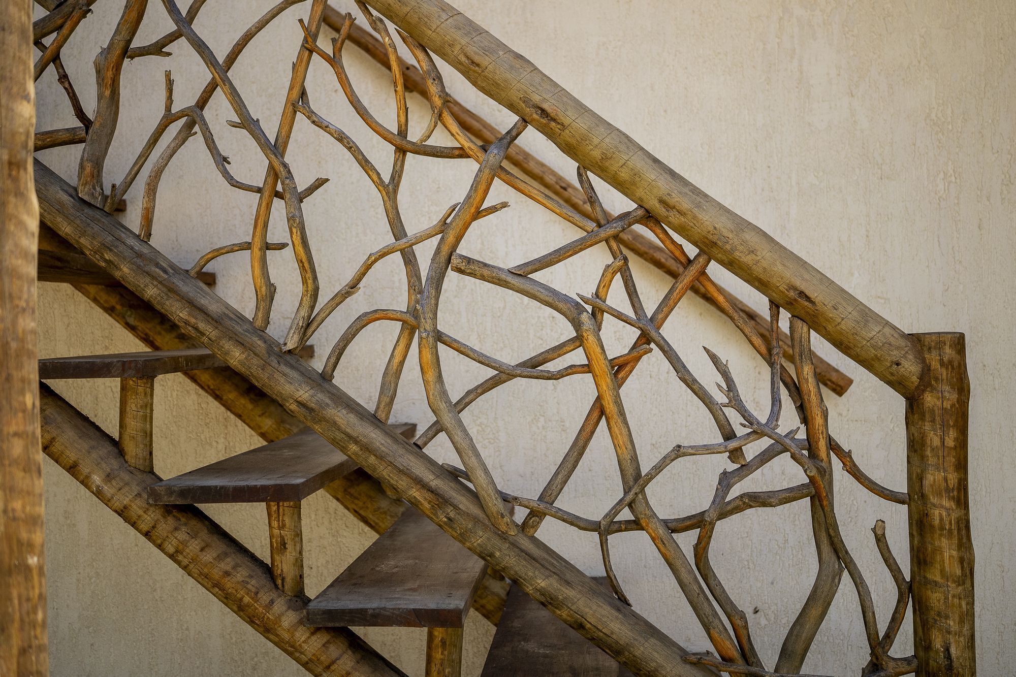 Photo - Pousada Chez Ellery Jeri