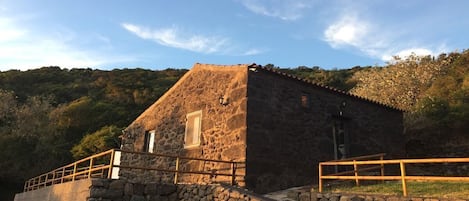 Esterni