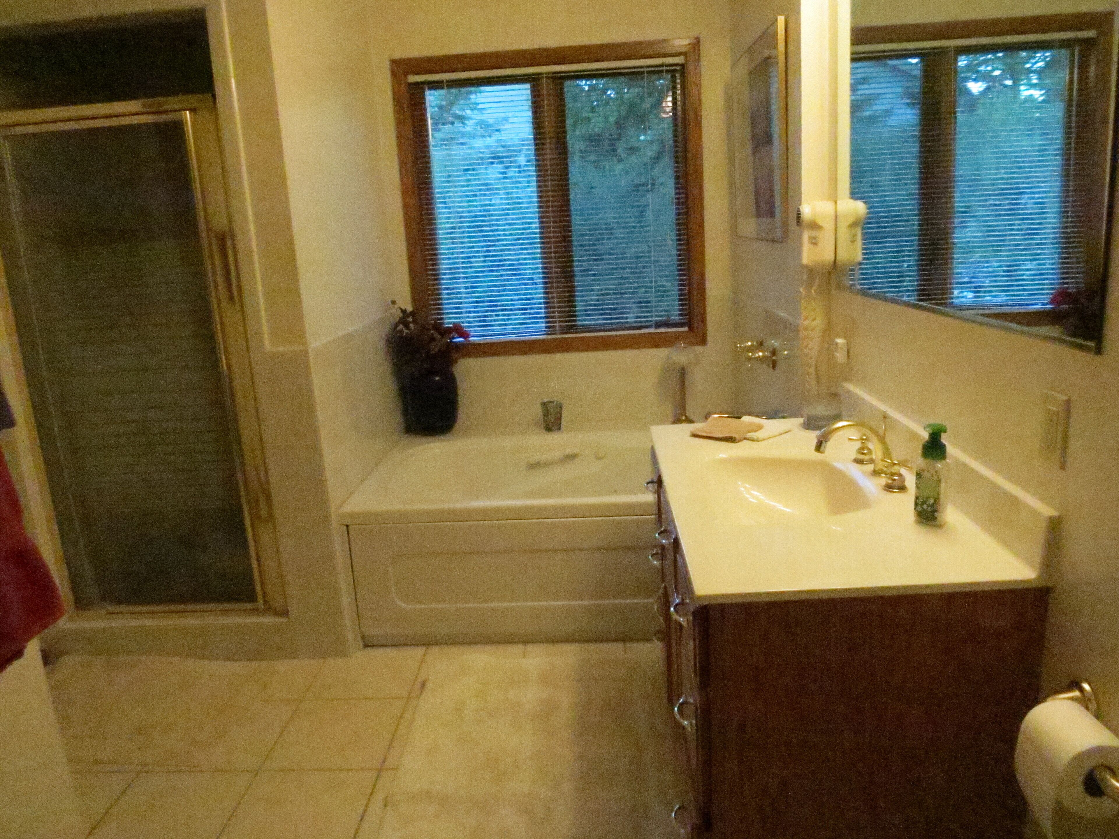 Jetted bath, hair dryer, towels, soap