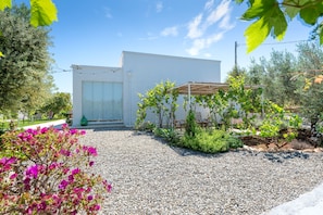 Ein modernes Gebäude mit weißer Fassade, einem Schotterweg und einem Gartenbereich mit Sträuchern und einer Pergola.