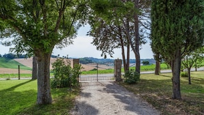 Un chemin de gravier mène à une entrée fermée par un portail, le tout étant entouré d’arbres.