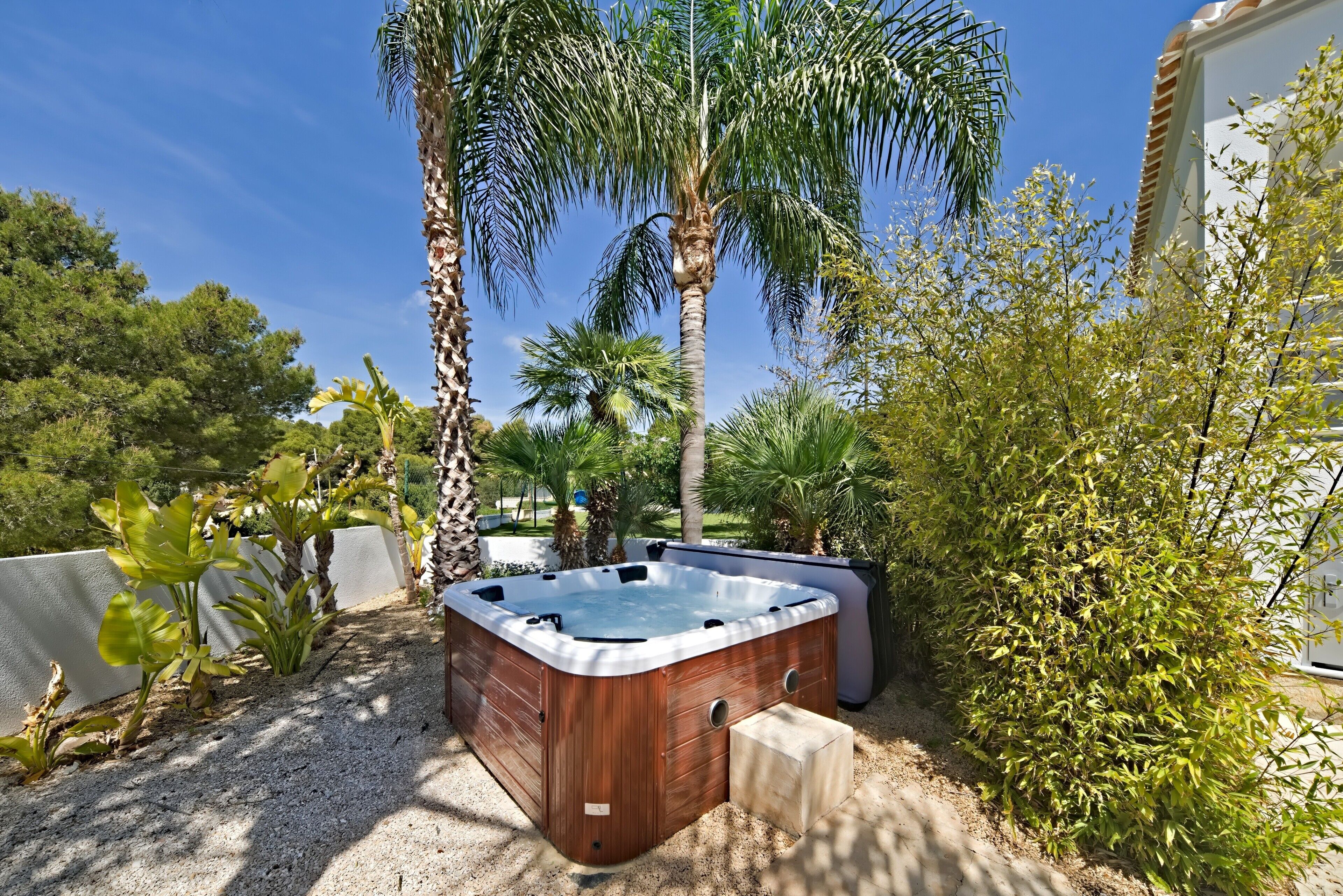 Een hottub in een tuin met palmbomen en een witte muur.