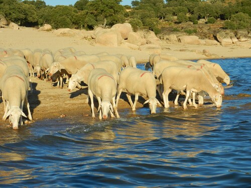 Country House 'La Casa De Salce' with Private Garden and Wi-Fi