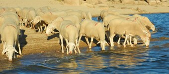 Country House 'La Casa De Salce' with Private Garden and Wi-Fi